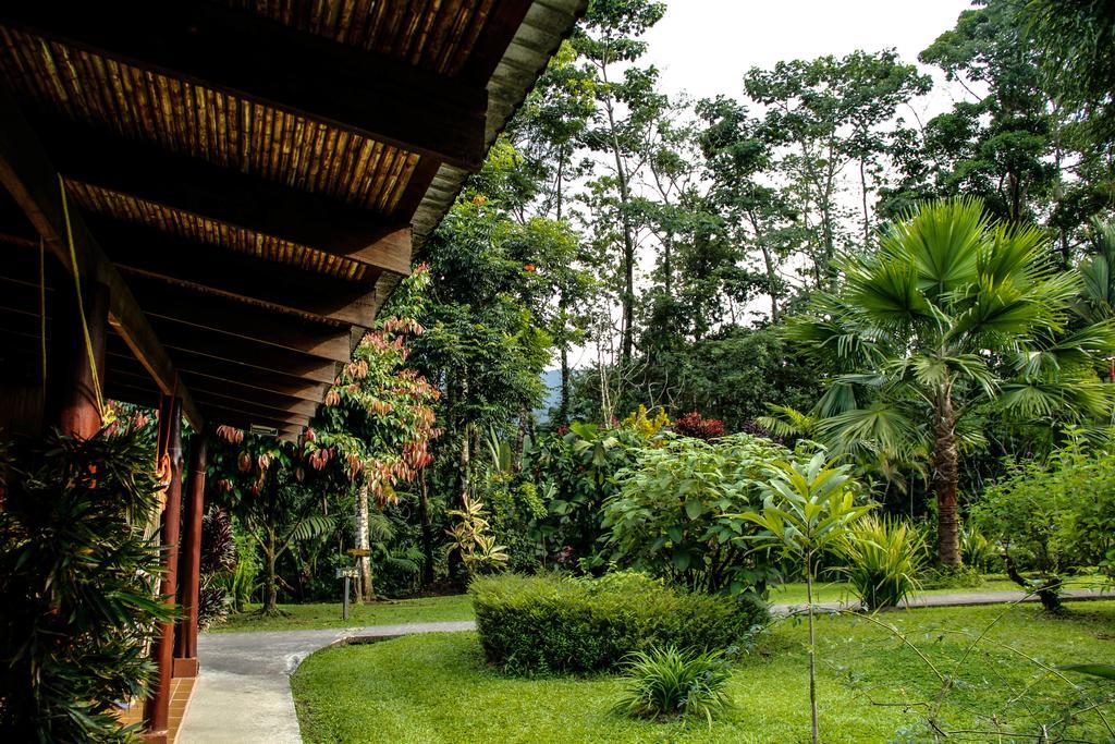 Catarata Eco Lodge La Fortuna Buitenkant foto