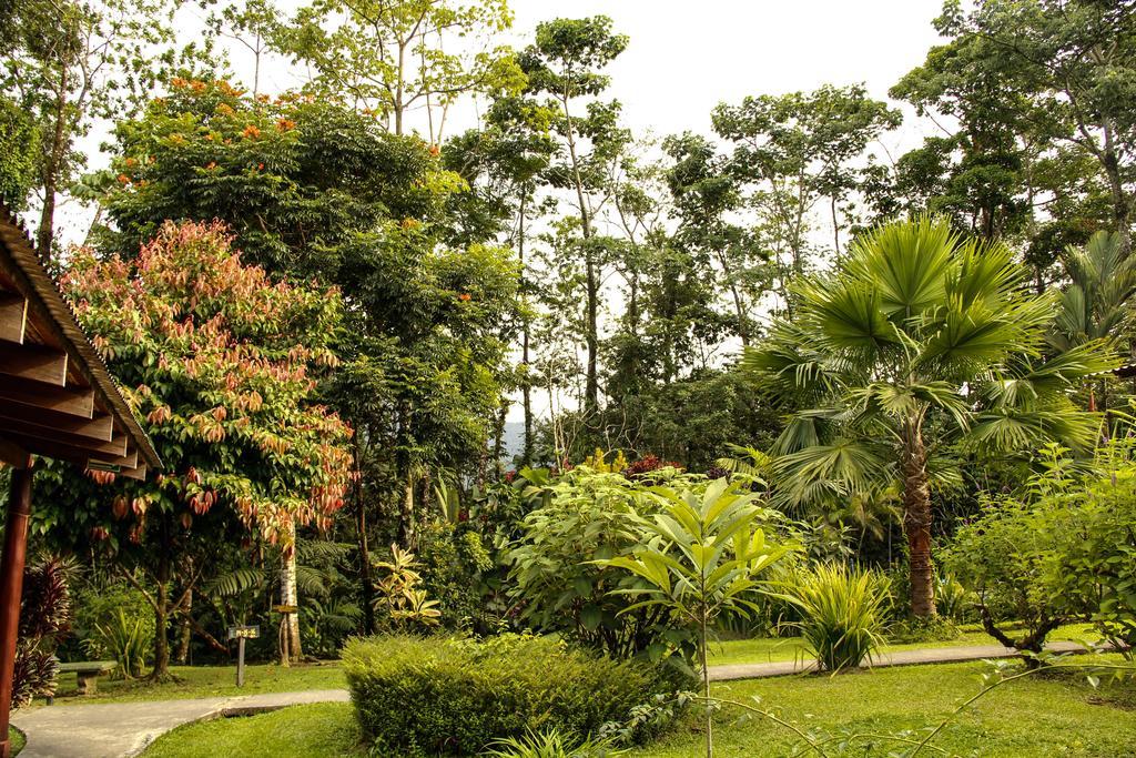 Catarata Eco Lodge La Fortuna Buitenkant foto