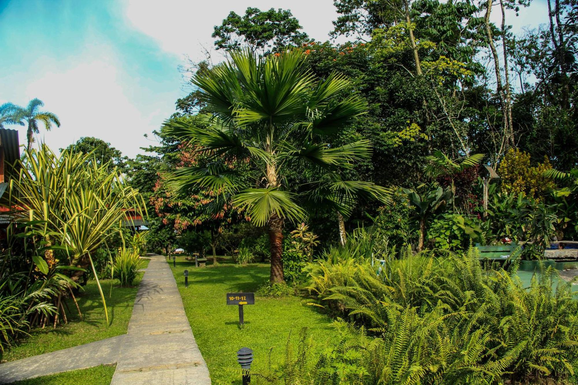 Catarata Eco Lodge La Fortuna Kamer foto