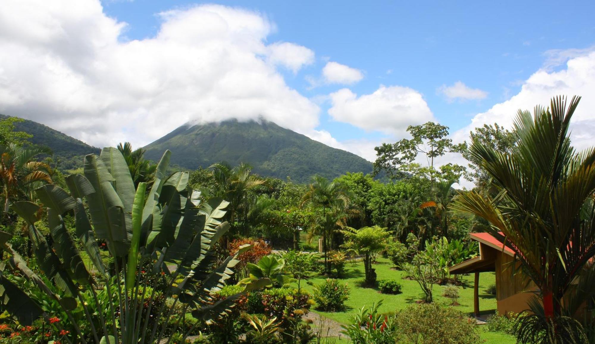 Catarata Eco Lodge La Fortuna Buitenkant foto