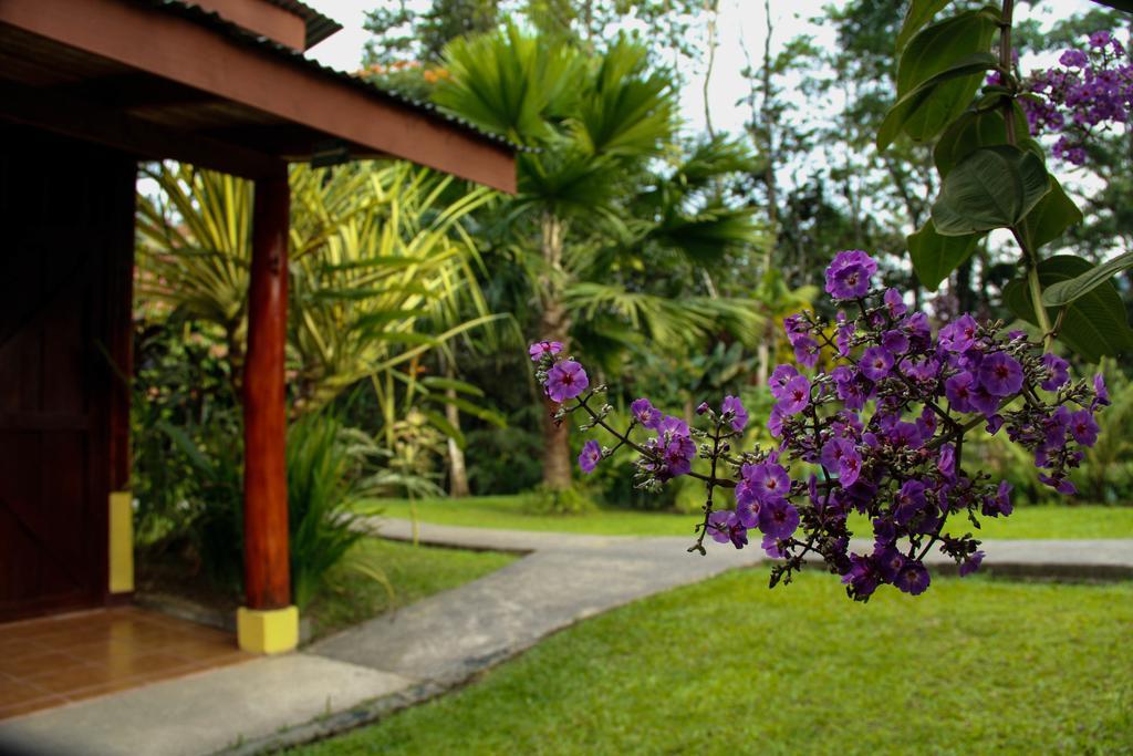 Catarata Eco Lodge La Fortuna Buitenkant foto