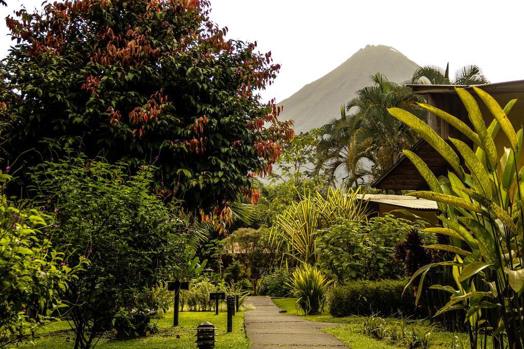 Catarata Eco Lodge La Fortuna Buitenkant foto